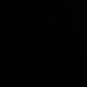 Another Bundle for Jess!